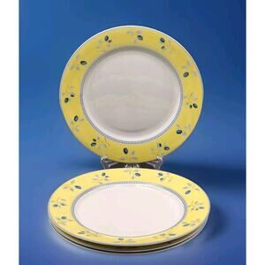 Royal Doulton Blueberry Set Of 4 Dinner Plates 10.25 Dishwasher & Microwave Safe